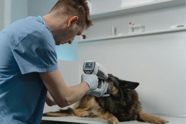 Emergency Medical Care