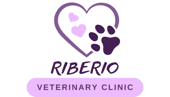 Partner-Logo