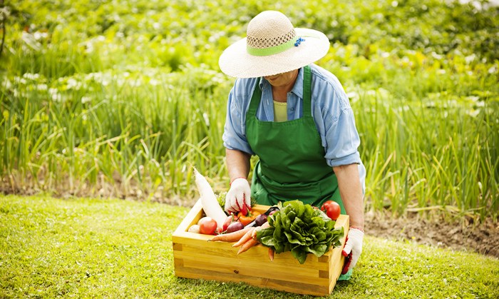 Organic Products