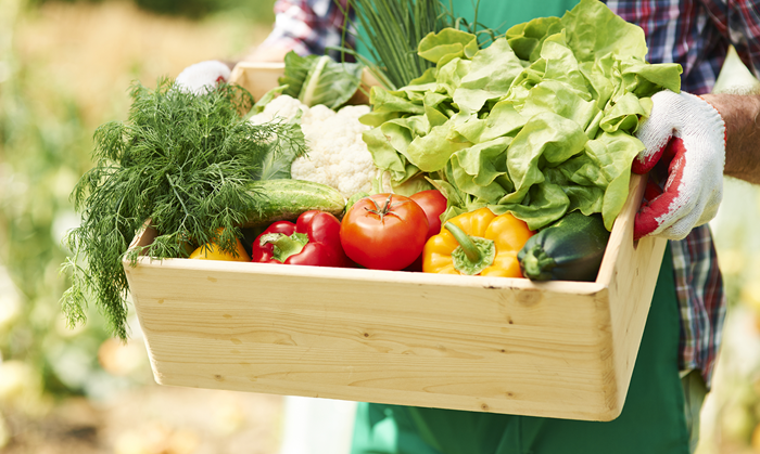 Organic Fresh Vegetables